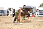 SBM_03517