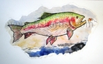 8lb Waitahanui Taupo Jack Watercolour.