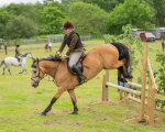 Dunblane show-458
