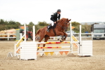 SBM_004794