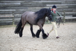 SBM_006412