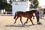 SBM_12817