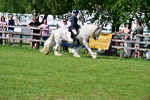 SBM_09380