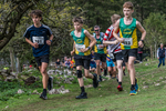 Dovedale-991