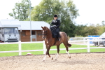 SBM_03337
