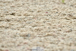 230708A-114709-02627