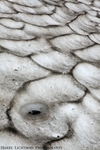 Ablation Hollows - Grinnell Glacier