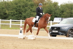 SBM_009344
