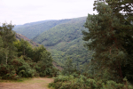 Dartmoor _ DR 19