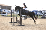 SBM_001540