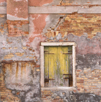 CHARTREUSE SHUTTERS - VENICE