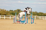 SBM_007853