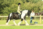 SBM_67419