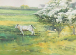 'Fresh Greens'
