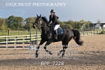 BPP_7228