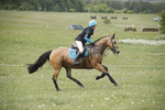 BVHT 140517  NXC -229