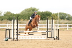 SBM_023071