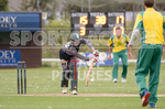 Cricket_Griffins v Irregulars-31