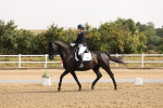 SBM_005291