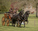 Attelage -721