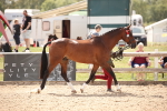 SBM_04540