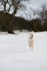 Kasper's Walkies! portfolio