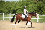 SBM_008793