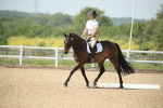 SBM_009527