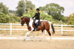 SBM_008751