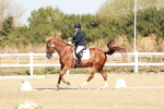 SBM_017028