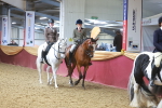 SBM_14879