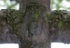 San José, atrial cross, front crossing, face of Christ