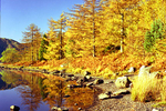 Autumn in Snowdonia 83-10-10