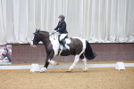 SBM_000250