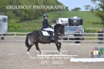 BPP_5892