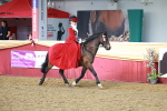 SBM_13407