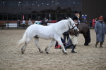SBM_006177