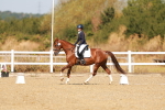 SBM_017638