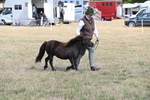 WJ6_6836