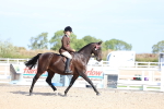 SBM_17634