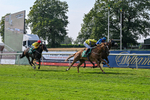 160726-Race 6-Capital Guarantee-5139