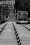 Gaia Metro Avenue