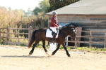 SBM_009282