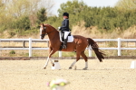 SBM_019259