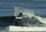 DSC_5436