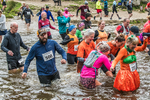 Dovedale Dash-406