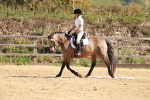 SBM_010633