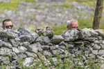 Settle Hills-929