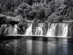 Wain Wath Force