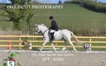BPP_8480